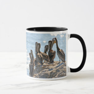 Taza Rock pelícano