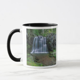 Taza Rockwell Falls en el valle de Two Medicine de
