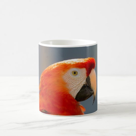 Taza roja de la fauna de la naturaleza del pájaro