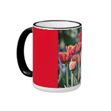 Taza roja del campanero con los tulipanes rojos