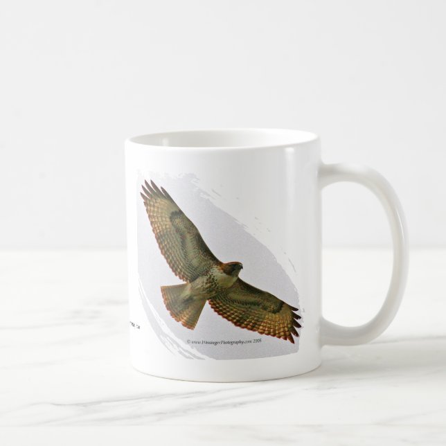 Taza roja del halcón de la cola (Derecha)