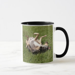 Taza Rolling de perro leopardo de Catahoula en la hierb