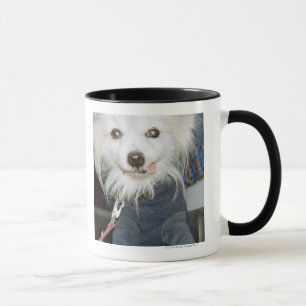 Taza Ropa que lleva de un perro blanco