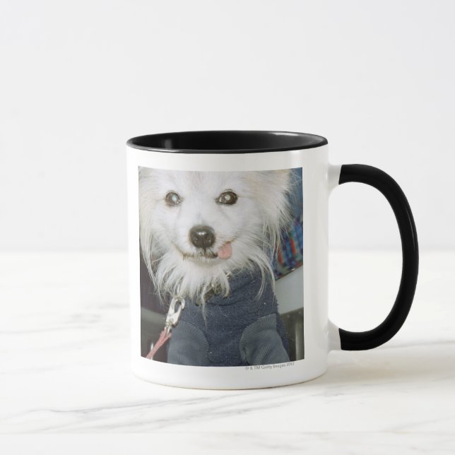 Taza Ropa que lleva de un perro blanco (Derecha)