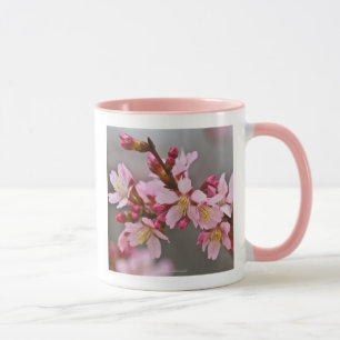 Taza Rosa contra el cielo gris Florece cerezo japonés C