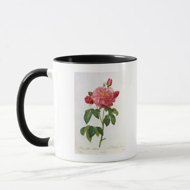 Taza Rosa Gallica Aurelianensis (Izquierda)