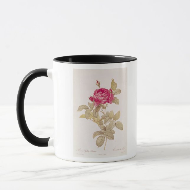 Taza Rosa Gallica Pontiana, de los 'rosas de Les (Izquierda)