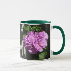 Taza Rosa Ivy Geranium