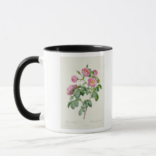 Taza Rosa Mollissima, de los 'rosas de Les