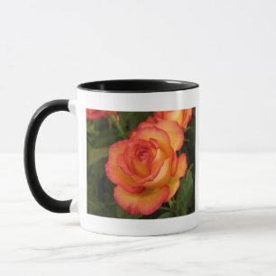 Taza Rosa naranja