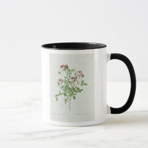 Taza Rosa Pomponia, de los 'rosas de Les