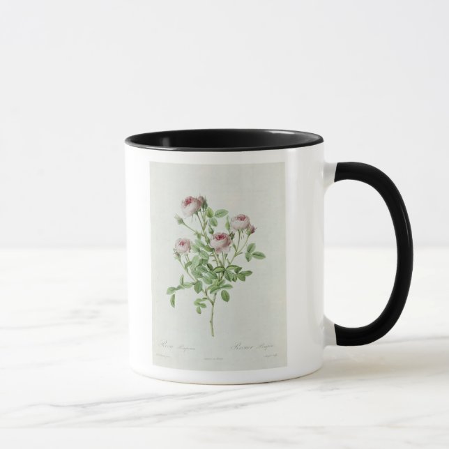 Taza Rosa Pomponia, de los 'rosas de Les (Derecha)