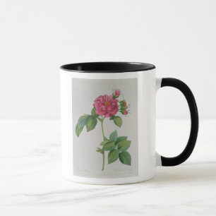Taza Rosa Turbinata, de, Les Roses', vol. 1, 1817