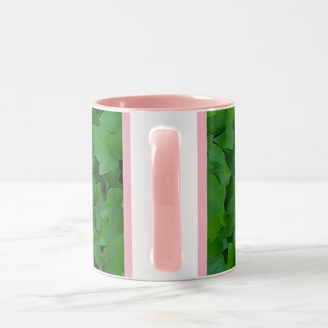 Taza rosada de la hiedra (Asa)