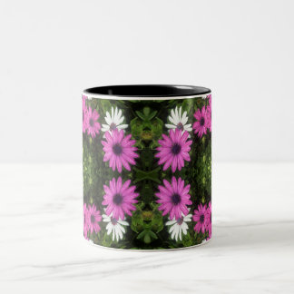Taza rosada de la margarita de Kula
