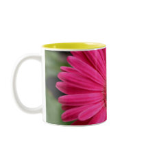 Taza rosada de la margarita del Gerbera