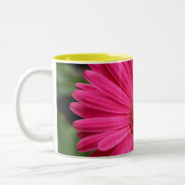 Taza rosada de la margarita del Gerbera
