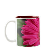 Taza rosada de la margarita del Gerbera