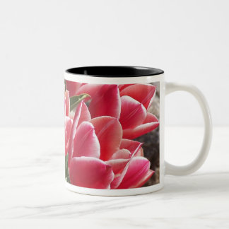 Taza rosada de los tulipanes