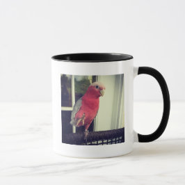 Taza rosada del loro