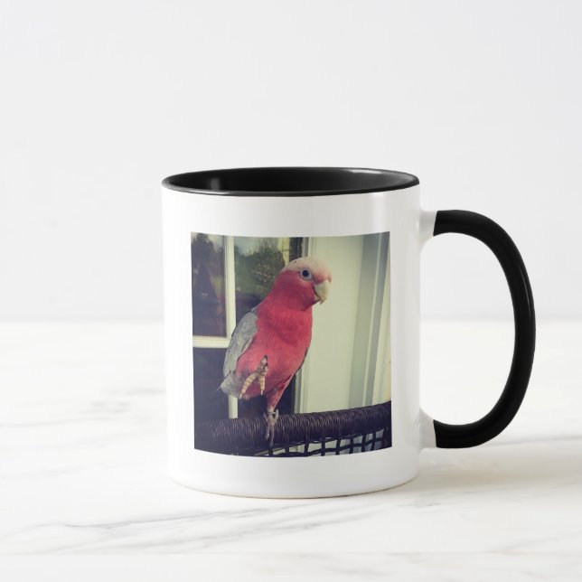 Taza rosada del loro (Derecha)