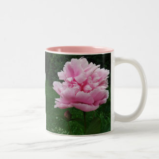 Taza rosada del Peony