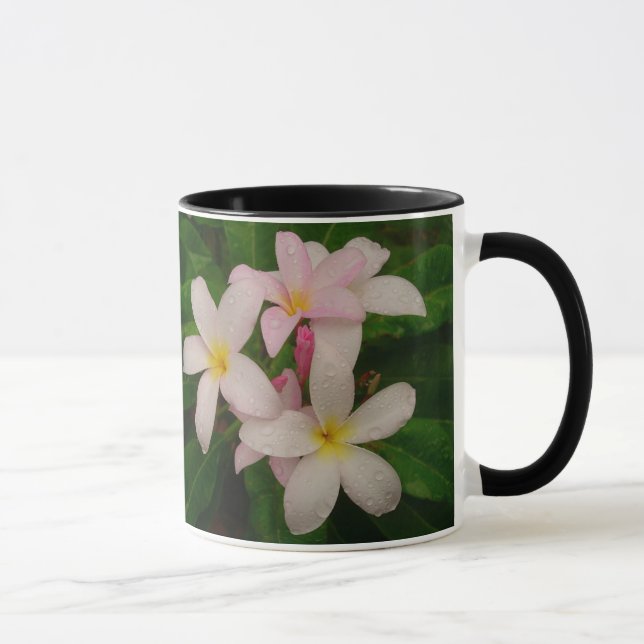 Taza rosada del Plumeria de la matanza (Derecha)