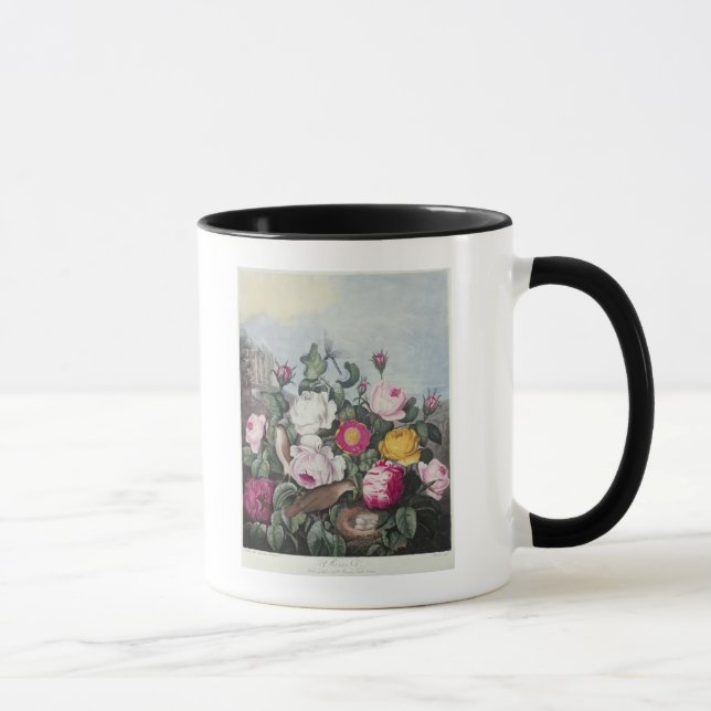 Taza Rosas, 'del templo de Flora (Derecha)