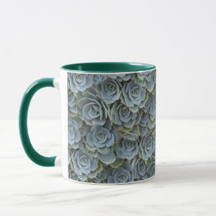 TAZA ROSETAS DE PLANTAS SUCCULENTAS GRIS VERDE