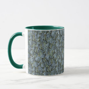 TAZA ROSETAS DE PLANTAS SUCCULENTAS GRIS VERDE
