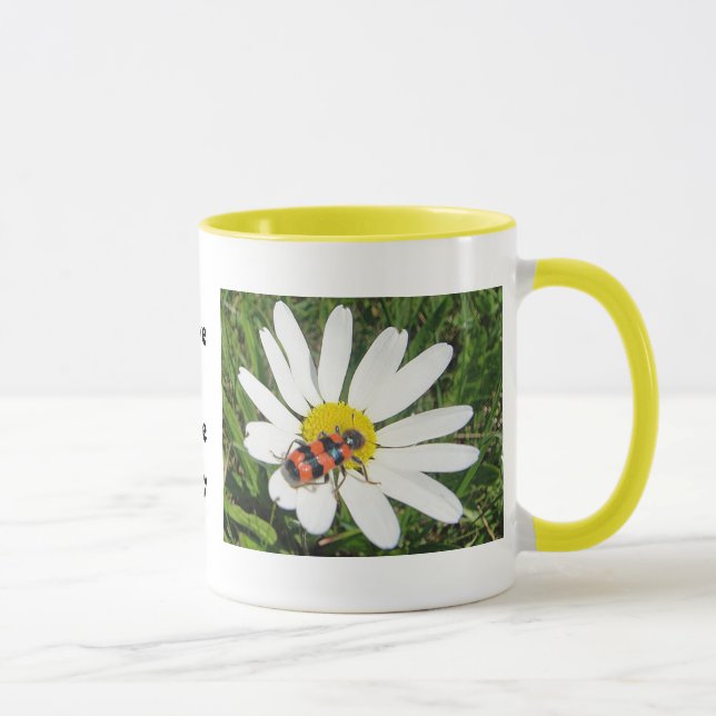 Taza Rot-schwarzer Käfer auf weisser Margerite, Tasse (Derecha)