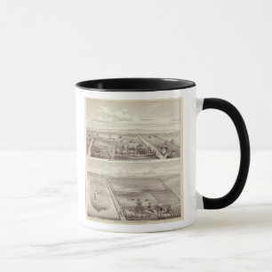 Taza Roth, ranchos de Scruggs