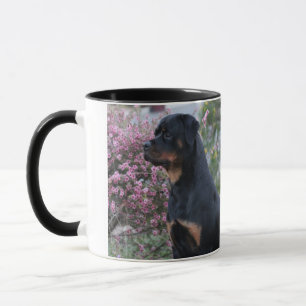 Taza Rottweiler