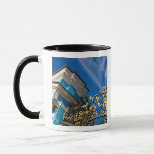 Taza Rusia, Pushkin. Detalle de la puerta y torre de so