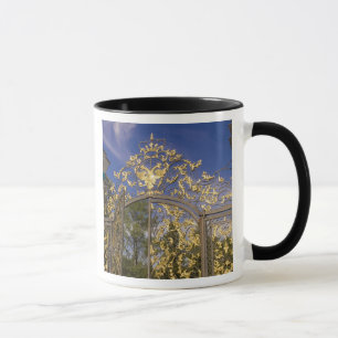 Taza Rusia, Pushkin. Detalle de la puerta y torres de s