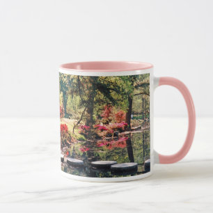 Taza Ruta de curación