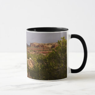 Taza Ruta de los manantiales de cuello en el Parque Nac