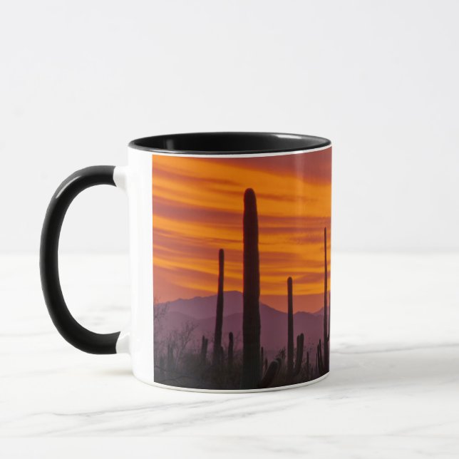 Taza Saguaro, puesta del sol, Parque Nacional Saguaro (Izquierda)