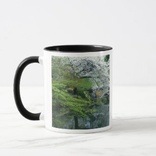 Taza Sakura, Jardín Koishikawa Koraku-en, Tokio,