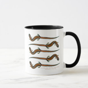 Taza Salamanders apoyados rojo
