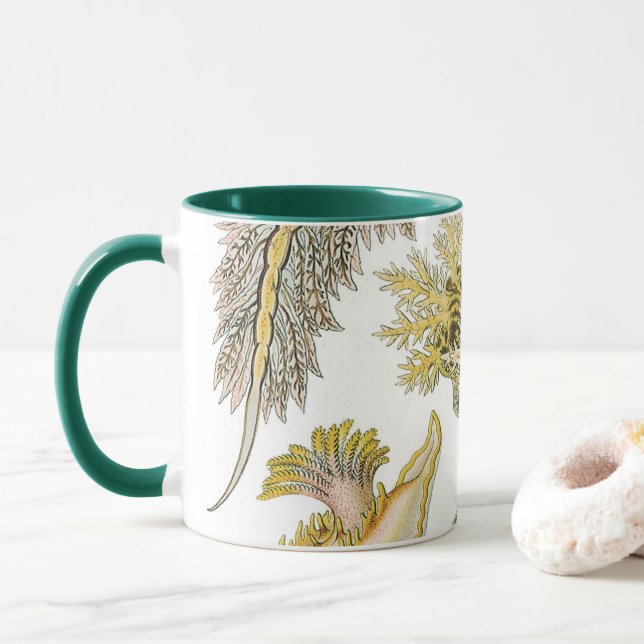 Taza Saltos marinos por Ernst Haeckel, Nudibranchia vin (Con donut)