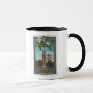 Taza Saludos de la Florida y de la imagen del canto