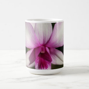 Taza salvaje de la orquídea