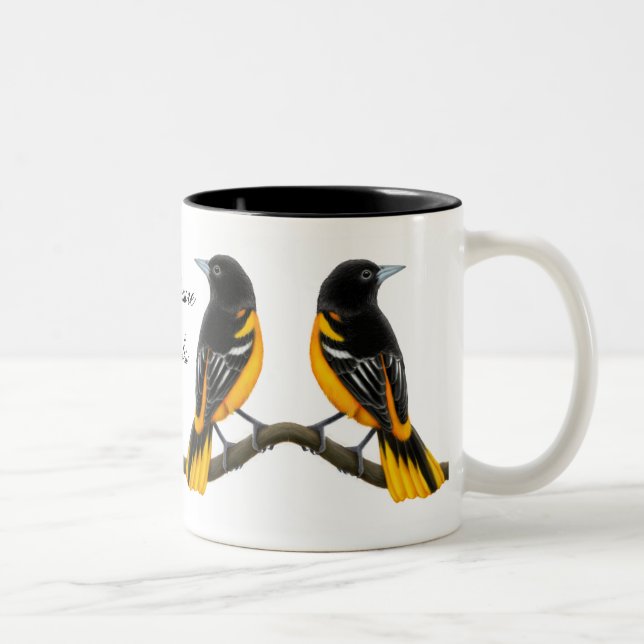 Taza salvaje de los pájaros de los Baltimore (Derecha)