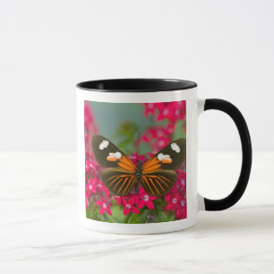 Taza Sammamish Washington Fotografía de Mariposa en 14