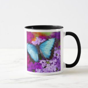 Taza Sammamish Washington Tropical Butterfly