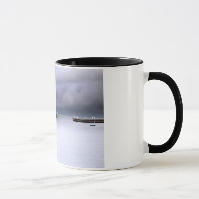 Taza San Francisco Bay (Derecha)