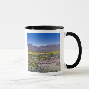 Taza Sand Verbena y Desert Gold en Amboy Crater, CA,