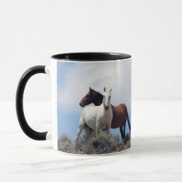 Taza Sand Wash Basin