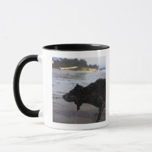 Taza Santa Barbara, California, los E.E.U.U.